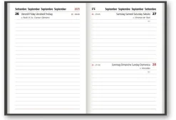 AGENDA GIORNALIERA S/D 14,5X20,5CM MAIORI: vendita online AGENDA GIORNALIERA S/D 14,5X20,5CM MAIORI in offerta