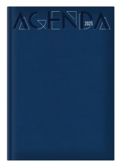 AGENDA GIORNALIERA 21X29,7CM NOLI: vendita online AGENDA GIORNALIERA 21X29,7CM NOLI in offerta