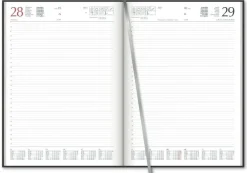 AGENDA GIORNALIERA 21X29,7CM NOLI: vendita online AGENDA GIORNALIERA 21X29,7CM NOLI in offerta