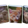 AGENDA GIORNALIERA 7X10CM SWEETY: vendita online AGENDA GIORNALIERA 7X10CM SWEETY in offerta