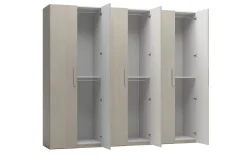Armadio sei ante in laminato olmo: modello New Ida