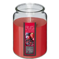 CANDELA IN VETRO FRUTTI DI BOSCO 510GR: vendita online CANDELA IN VETRO FRUTTI DI BOSCO 510GR in offerta