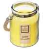 CANDELA ALLA CITRONELLA 500GR IN VASETTO IN VETRO: vendita online CANDELA ALLA CITRONELLA 500GR IN VASETTO IN VETRO in offerta