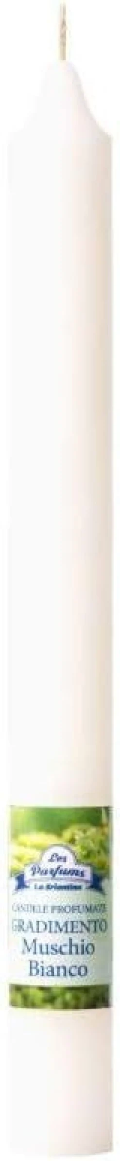 CANDELA GRADIMENTO MUSCHIO BIANCO: vendita online CANDELA GRADIMENTO MUSCHIO BIANCO in offerta