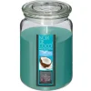 CANDELA IN VETRO COCCO 510GR: vendita online CANDELA IN VETRO COCCO 510GR in offerta