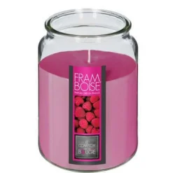 CANDELA PROFUMATA AL LAMPONE 510GR 10X14.5CM IN BARATTOLO DI VETRO: vendita online CANDELA PROFUMATA AL LAMPONE 510GR 10X14.5CM IN BARATTOLO DI VETRO in offerta
