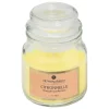 CANDELA PROFUMATA ELOA 70GR IN BARATTOLO IN VETRO CITRONELLA: vendita online CANDELA PROFUMATA ELOA 70GR IN BARATTOLO IN VETRO CITRONELLA in offerta