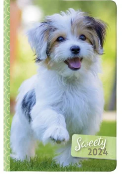 CANGINI FILIPPI - AGENDA GIORNALIERA SWEETY 11X16.5CM ASSORTITA: vendita online CANGINI FILIPPI - AGENDA GIORNALIERA SWEETY 11X16.5CM ASSORTITA in offerta
