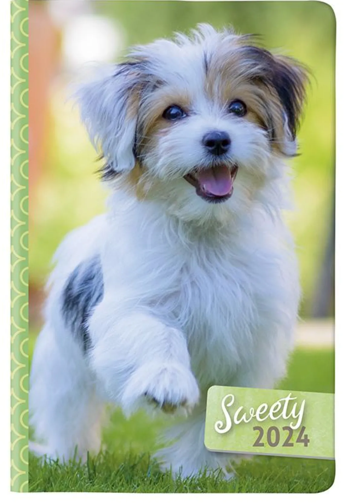 CANGINI FILIPPI - AGENDA GIORNALIERA SWEETY 11X16.5CM ASSORTITA: vendita online CANGINI FILIPPI - AGENDA GIORNALIERA SWEETY 11X16.5CM ASSORTITA in offerta