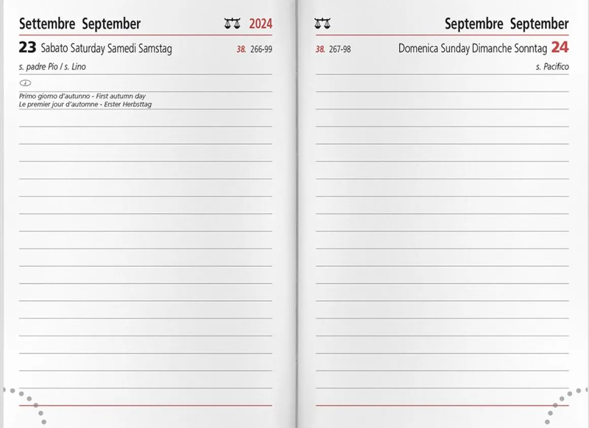 CANGINI FILIPPI - AGENDA GIORNALIERA DYNALUX 6,5X10 CM ASSORTITO : vendita online CANGINI FILIPPI - AGENDA GIORNALIERA DYNALUX 6,5X10 CM ASSORTITO in offerta