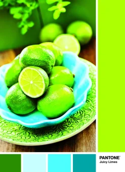 CLEMENTONI PANTONE - PUZZLE 1000 PEZZI JUICY LEMONS: vendita online CLEMENTONI PANTONE - PUZZLE 1000 PEZZI JUICY LEMONS in offerta