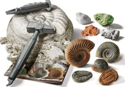 CLEMENTONI SCIENZA E GIOCO - DIG KIT FOSSILI E MINERALI: vendita online CLEMENTONI SCIENZA E GIOCO - DIG KIT FOSSILI E MINERALI in offerta