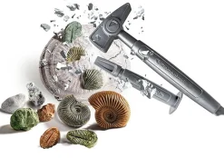 CLEMENTONI SCIENZA E GIOCO - DIG KIT FOSSILI E MINERALI: vendita online CLEMENTONI SCIENZA E GIOCO - DIG KIT FOSSILI E MINERALI in offerta