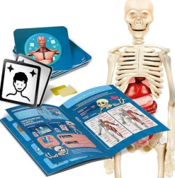 CLEMENTONI SCIENZA E GIOCO - CORPO UMANO: vendita online CLEMENTONI SCIENZA E GIOCO - CORPO UMANO in offerta