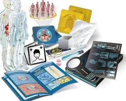 CLEMENTONI SCIENZA E GIOCO - ANATOMIA: vendita online CLEMENTONI SCIENZA E GIOCO - ANATOMIA in offerta