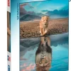 CLEMENTONI SUPER NOLI - PUZZLE 300 PEZZI SELF REFLECTION : vendita online CLEMENTONI SUPER NOLI - PUZZLE 300 PEZZI SELF REFLECTION in offerta
