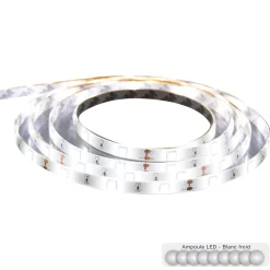 0,8CMSTRISCIA 150LED 5MT RGB BIANCO FREDDO 24W C/TRASFORMATORE L 500 X: vendita online 0,8CMSTRISCIA 150LED 5MT RGB BIANCO FREDDO 24W C/TRASFORMATORE L 500 X in offerta