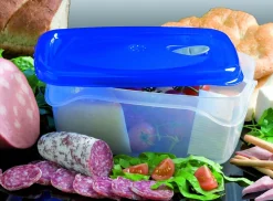 CONTENITORE FRESKA IN PLASTICA 29.6X21.5X11.7CM 5LT