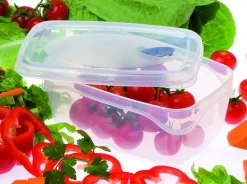 CONTENITORE FRESKA IN PLASTICA 18X12.5X7.5CM 1LT