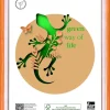 CORNICE BATIK IN LEGNO E CRILEX ARANCIO 25X35CM : vendita online CORNICE BATIK IN LEGNO E CRILEX ARANCIO 25X35CM in offerta