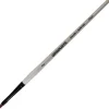 DALER ROWNEY - PENNELLO LINGUA DI GATTO MANICO CORTO GRADUATE N° 2: vendita online DALER ROWNEY - PENNELLO LINGUA DI GATTO MANICO CORTO GRADUATE N° 2 in offerta