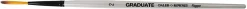 DALER ROWNEY - PENNELLO LINER EXTRA LUNGO MANICO CORTO GRADUATE N. 2: vendita online DALER ROWNEY - PENNELLO LINER EXTRA LUNGO MANICO CORTO GRADUATE N. 2 in offerta