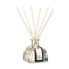 DIFFUSORE 100ML CON BASTONCINI: vendita online DIFFUSORE 100ML CON BASTONCINI in offerta