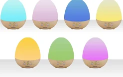DIFFUSORE DI ESSENZE: vendita online DIFFUSORE DI ESSENZE in offerta