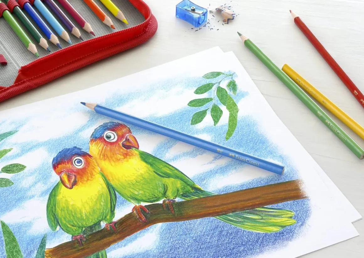 FABER CASTELL - ASTUCCIO 18+4 MATITE COLORATE BRVG + 2 MATITE IN GRAFITE: vendita online FABER CASTELL - ASTUCCIO 18+4 MATITE COLORATE BRVG + 2 MATITE IN GRAFITE in offerta