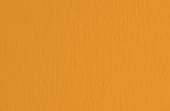 FABRIANO - CARTONCINO ELLE ERRE 50X70CM ARAGOSTA: vendita online FABRIANO - CARTONCINO ELLE ERRE 50X70CM ARAGOSTA in offerta
