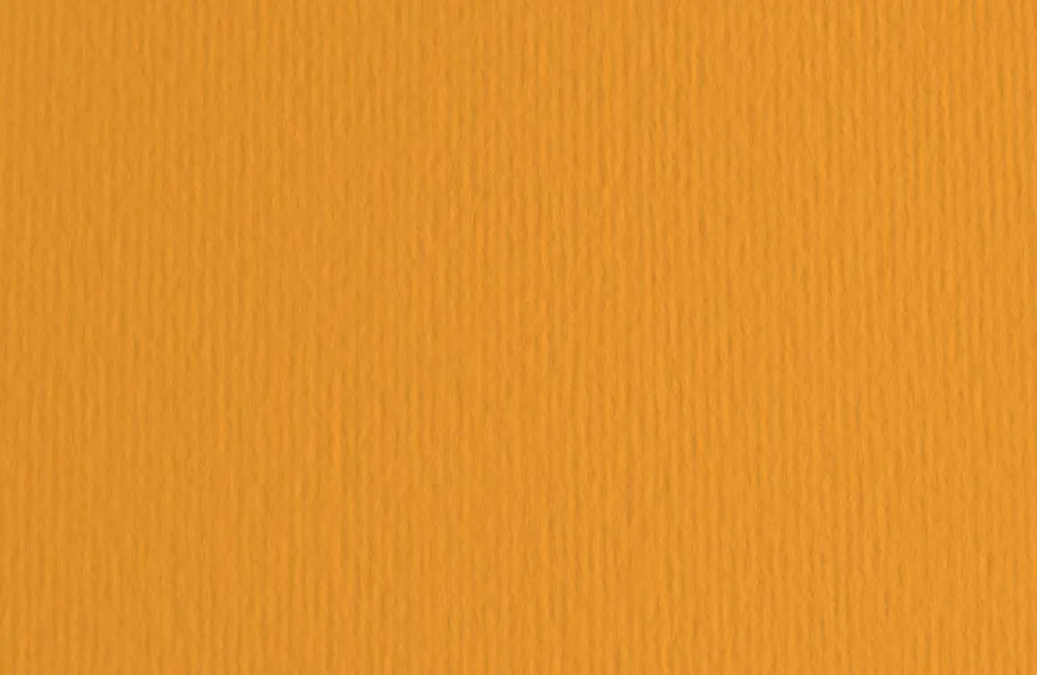 FABRIANO - CARTONCINO ELLE ERRE 50X70CM ARAGOSTA: vendita online FABRIANO - CARTONCINO ELLE ERRE 50X70CM ARAGOSTA in offerta