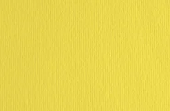 FABRIANO - CARTONCINO ELLE ERRE 50X70CM CEDRO: vendita online FABRIANO - CARTONCINO ELLE ERRE 50X70CM CEDRO in offerta