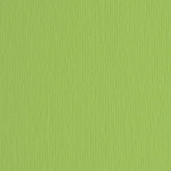 FABRIANO - CARTONCINO ELLE ERRE 50X70CM VERDE PISELLO : vendita online FABRIANO - CARTONCINO ELLE ERRE 50X70CM VERDE PISELLO in offerta