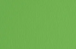 FABRIANO - CARTONCINO ELLE ERRE 50X70CM VERDE: vendita online FABRIANO - CARTONCINO ELLE ERRE 50X70CM VERDE in offerta