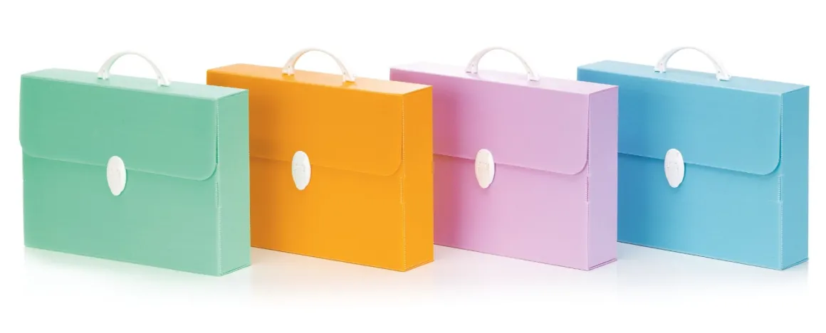 FAVORIT - VALIGETTA EVERY LINE PASTEL 37.5X27CM DORSO 8CM ASSORTITO: vendita online FAVORIT - VALIGETTA EVERY LINE PASTEL 37.5X27CM DORSO 8CM ASSORTITO in offerta