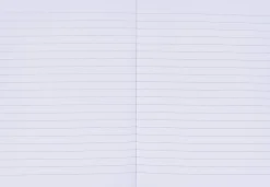 GLI IMPERDIBILI - QUADERNO MAXI SILVER 18+1 FOGLI A4 RIGHE ASSORTITO: vendita online GLI IMPERDIBILI - QUADERNO MAXI SILVER 18+1 FOGLI A4 RIGHE ASSORTITO in offerta