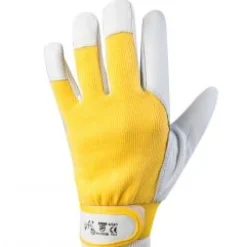 GUANTI IN PELLE DI SUINO E DORSO IN MAGLIA DI COTONE, CHIUSURA A STRAPPO, TAGLIA 7: vendita online GUANTI IN PELLE DI SUINO E DORSO IN MAGLIA DI COTONE, CHIUSURA A STRAPPO, TAGLIA 7 in offerta
