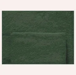 LINEA SOLID - ASCIUGAMANI OSPITE 40X60CM VERDONE: vendita online LINEA SOLID - ASCIUGAMANI OSPITE 40X60CM VERDONE in offerta