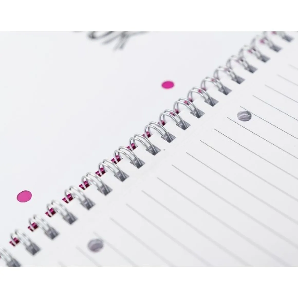 ONE COLOR - QUADERNO AD ANELLI 80+1 FOGLI A4+ RIGHE ASSORTITO: vendita online ONE COLOR - QUADERNO AD ANELLI 80+1 FOGLI A4+ RIGHE ASSORTITO in offerta