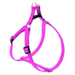PETTORINA FLASH N.1 MM.12 FUXIA: vendita online PETTORINA FLASH N.1 MM.12 FUXIA in offerta