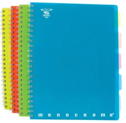 PIGNA - BLOCCO AD ANELLI FLUO 100+2 FOGLI QUADRETTI ASSORTITO: vendita online PIGNA - BLOCCO AD ANELLI FLUO 100+2 FOGLI QUADRETTI ASSORTITO in offerta