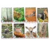 PIGNA - QUADERNO MAXI ANIMAL CUTE AND FUNNY 50 FOGLI A4 QUADRETTI ASSORTITO: vendita online PIGNA - QUADERNO MAXI ANIMAL CUTE AND FUNNY 50 FOGLI A4 QUADRETTI ASSORTITO in offerta