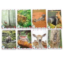 PIGNA - QUADERNO MAXI ANIMAL CUTE AND FUNNY 50 FOGLI A4 QUADRETTI ASSORTITO: vendita online PIGNA - QUADERNO MAXI ANIMAL CUTE AND FUNNY 50 FOGLI A4 QUADRETTI ASSORTITO in offerta