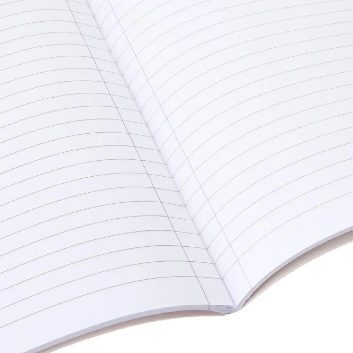 PIGNA - QUADERNO MAXI BEEP BEEP 50FF/SH RIGHE 3a elementari CON MARGINI ASSORTITO: vendita online PIGNA - QUADERNO MAXI BEEP BEEP 50FF/SH RIGHE 3a elementari CON MARGINI ASSORTITO in offerta
