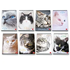 PIGNA - QUADERNO MAXI CATS AND BIG EYES 38 FOGLI A4 QUADRETTI 1a 2a 3a elem. ASS.: vendita online PIGNA - QUADERNO MAXI CATS AND BIG EYES 38 FOGLI A4 QUADRETTI 1a 2a 3a elem. ASS. in offerta