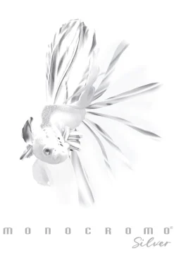 PIGNA - QUADERNO MAXI MONOCROMO SILVER A4 38 FOGLI QUADRETTI ASS.: vendita online PIGNA - QUADERNO MAXI MONOCROMO SILVER A4 38 FOGLI QUADRETTI ASS. in offerta