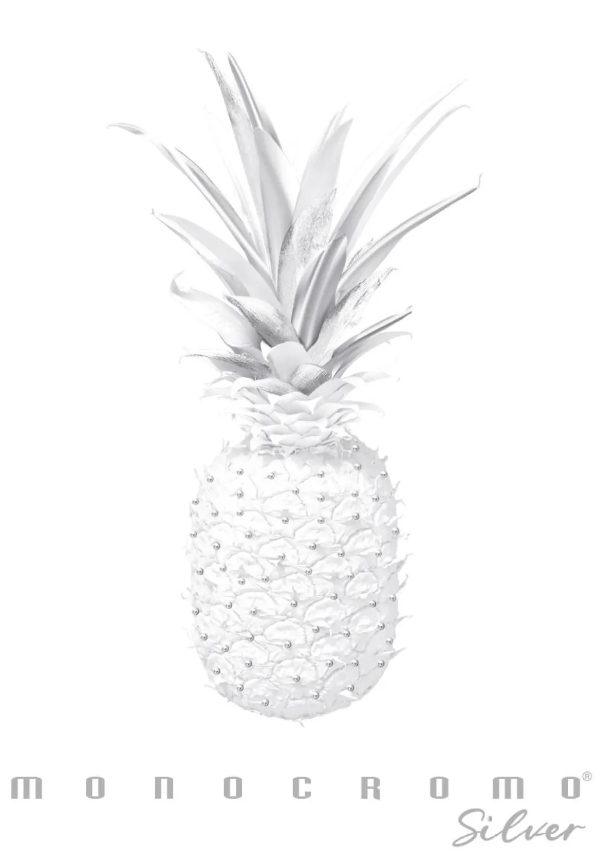 PIGNA - QUADERNO MAXI MONOCROMO SILVER A4 38 FOGLI QUADRETTI ASS.: vendita online PIGNA - QUADERNO MAXI MONOCROMO SILVER A4 38 FOGLI QUADRETTI ASS. in offerta
