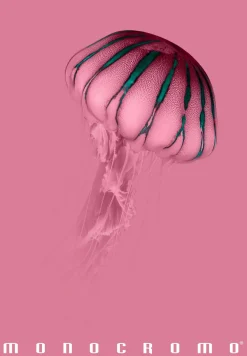PIGNA - QUADERNO MAXI MONOCROMO PINK 38 FOGLI A4 QUADRETTI 1a 2a 3a elem. ASS.: vendita online PIGNA - QUADERNO MAXI MONOCROMO PINK 38 FOGLI A4 QUADRETTI 1a 2a 3a elem. ASS. in offerta