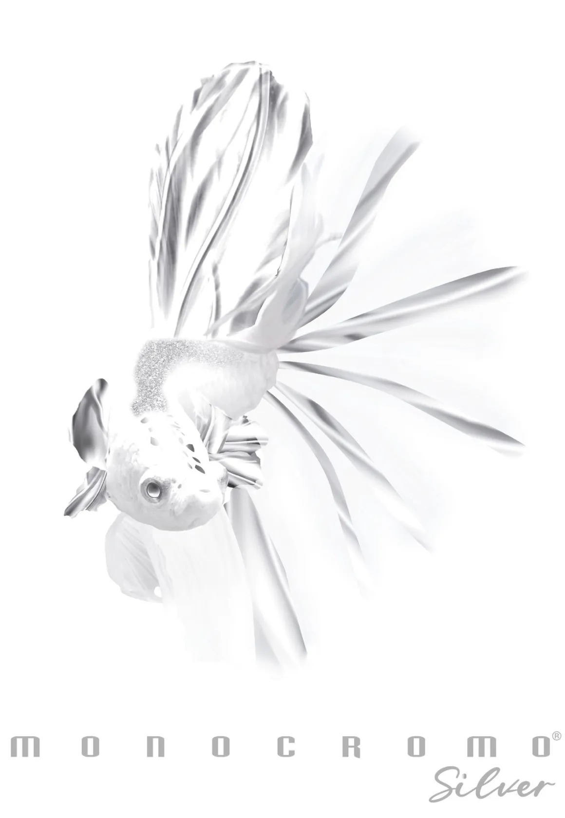 PIGNA - QUADERNO MAXI MONOCROMO SILVER A4 38 FOGLI RIGHE 4a 5a elem. ASS.: vendita online PIGNA - QUADERNO MAXI MONOCROMO SILVER A4 38 FOGLI RIGHE 4a 5a elem. ASS. in offerta