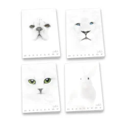 PIGNA - QUADERNO MAXI MONOCROMO WHITE 38 FOGLI A4 RIGHE ASSORTITO: vendita online PIGNA - QUADERNO MAXI MONOCROMO WHITE 38 FOGLI A4 RIGHE ASSORTITO in offerta